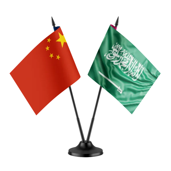 الصين 600x600